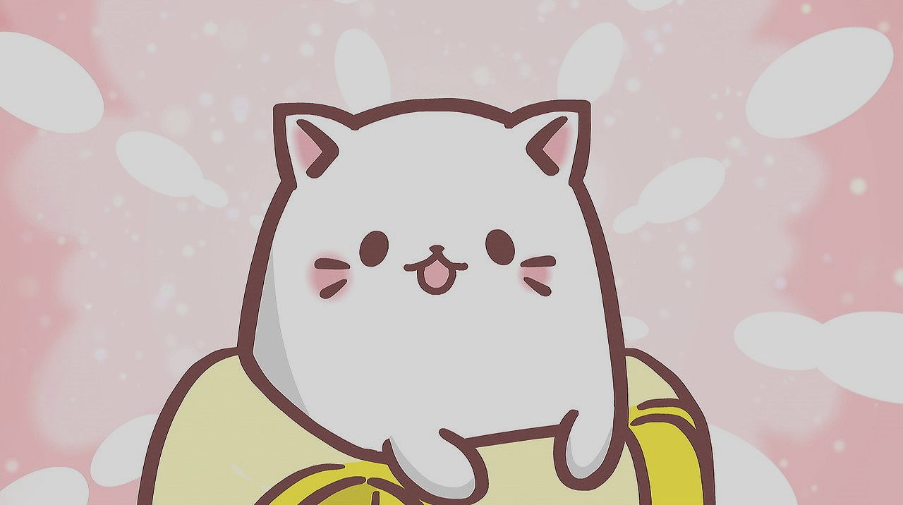 เจ้ากล้วยเหมียว