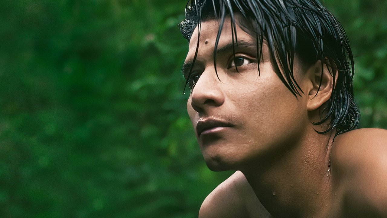 The Territory: เสียงของผืนป่าที่ถูกกลืนหาย และหัวใจที่ยังไม่ยอมจำนน